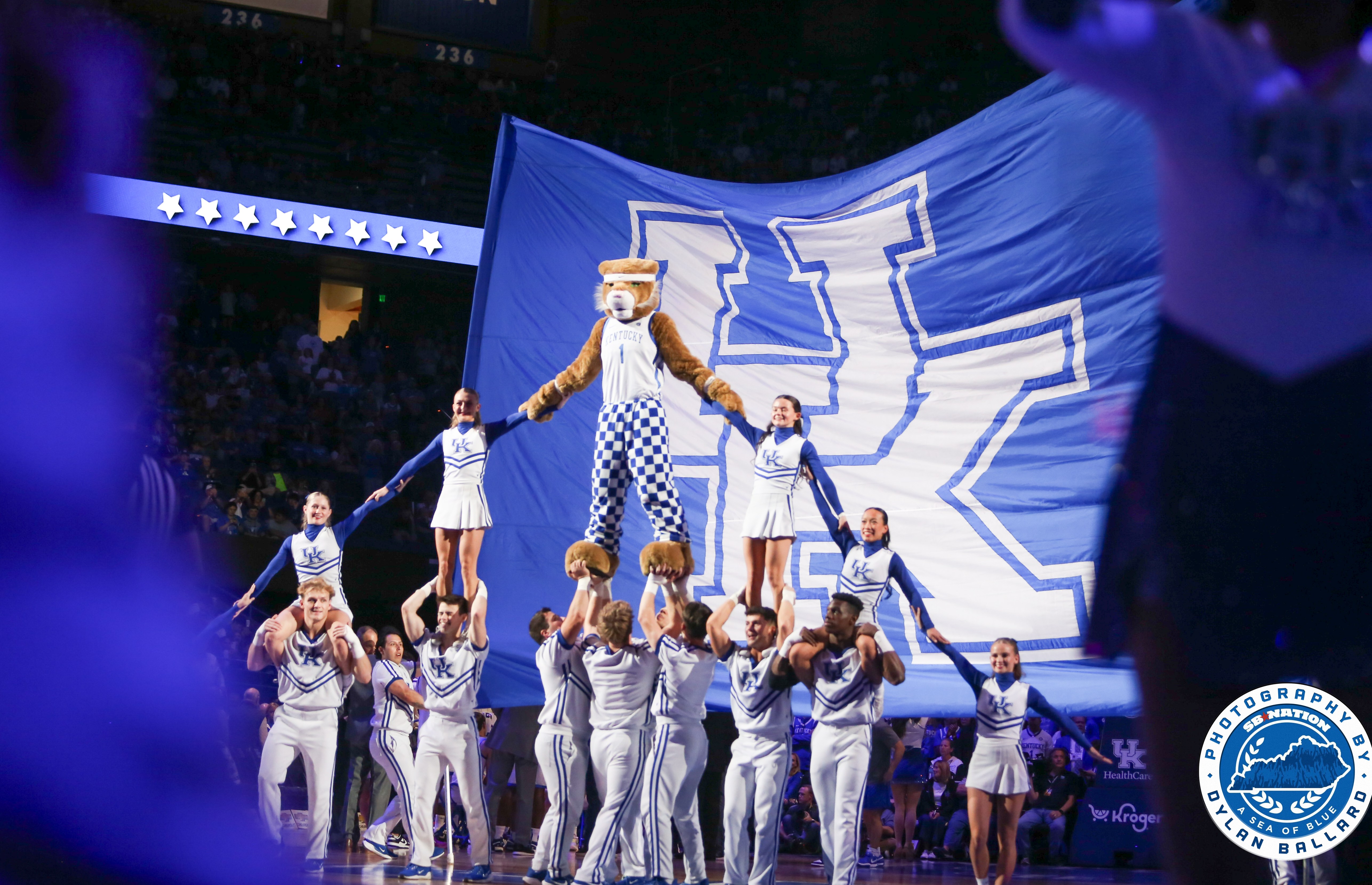 Kentucky Wildcat Mascot UK
