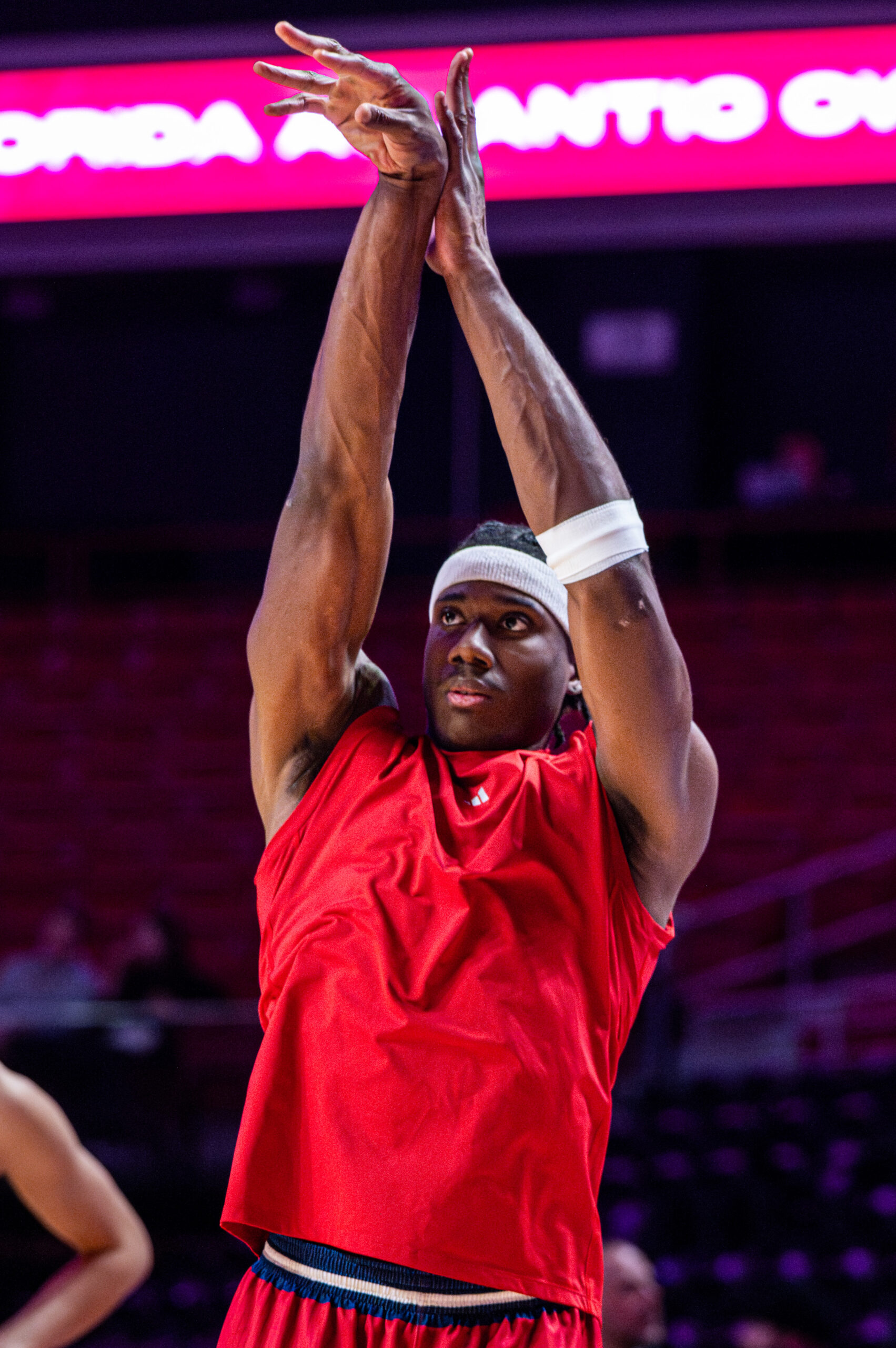 French Connection: taking a closer look at Maxim Logue