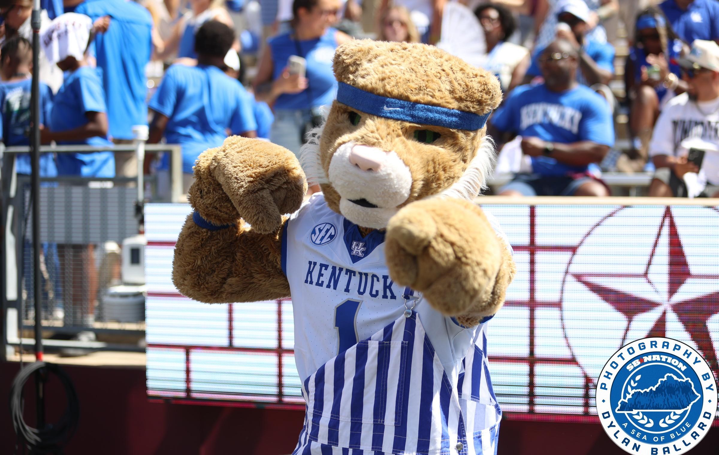 Kentucky Wildcats News: South Carolina Gameday