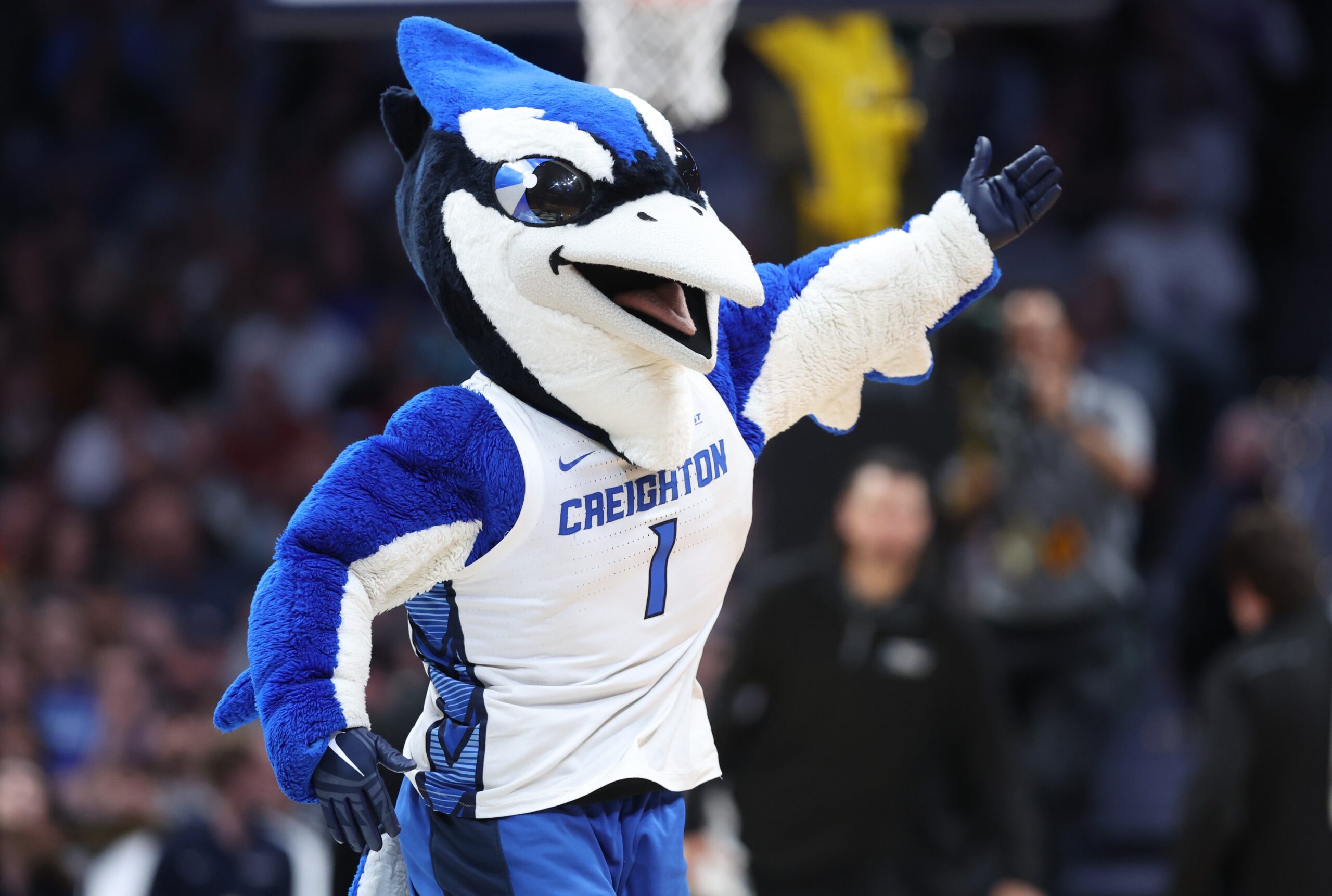 Marquette Volleyball Preview: at RV Creighton